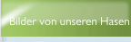 Bilder von unseren Hasen